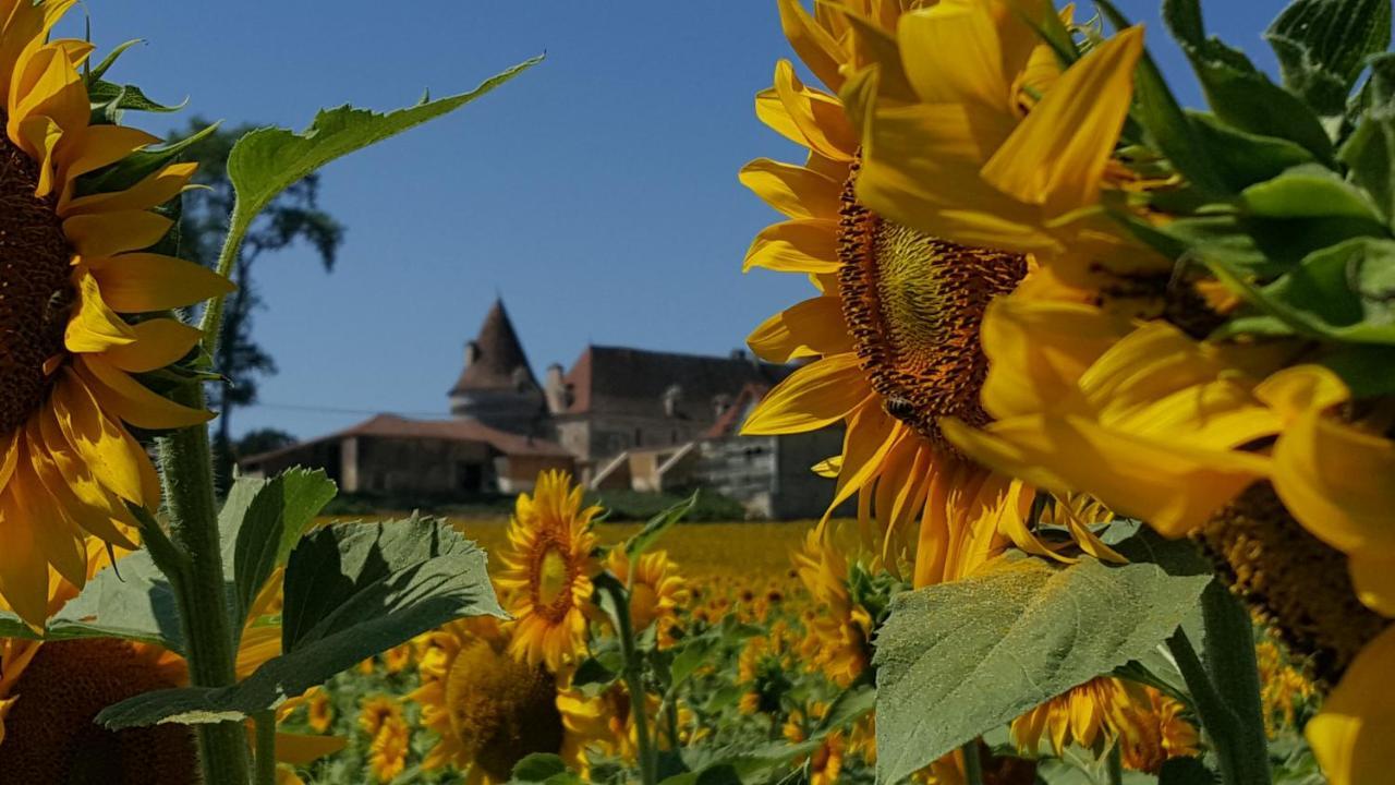 Le Petit Coin - LPC Dordogne Holidays Lussas-et-Nontronneau Esterno foto